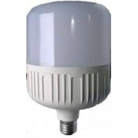 LED лампа T100 30W-4100K E27