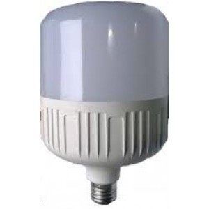 LED лампа T100 30W-4100K E27